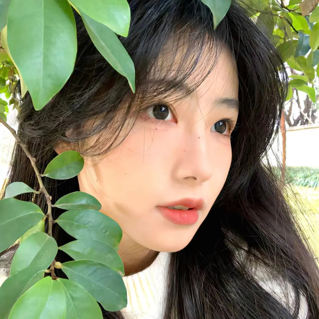 年轻的阿迈德